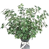 Ledoira 12Pcs 22'' Faux Plant Branches with Artificial Leaves Greenery Eucalyptus Branches Realistic Plants Stems Fake Ficus Twig Vase Decors for Home Wedding Holiday & Seasonal DIY Craft Decors