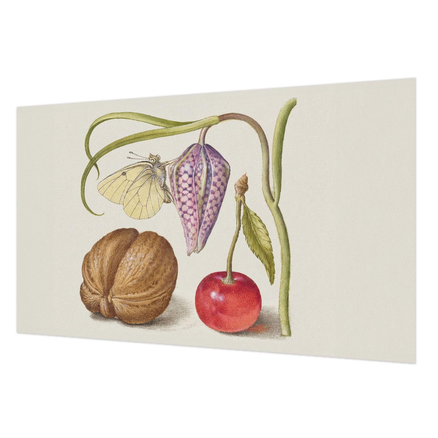Impression de haute qualité pour ce papier peint décoratif