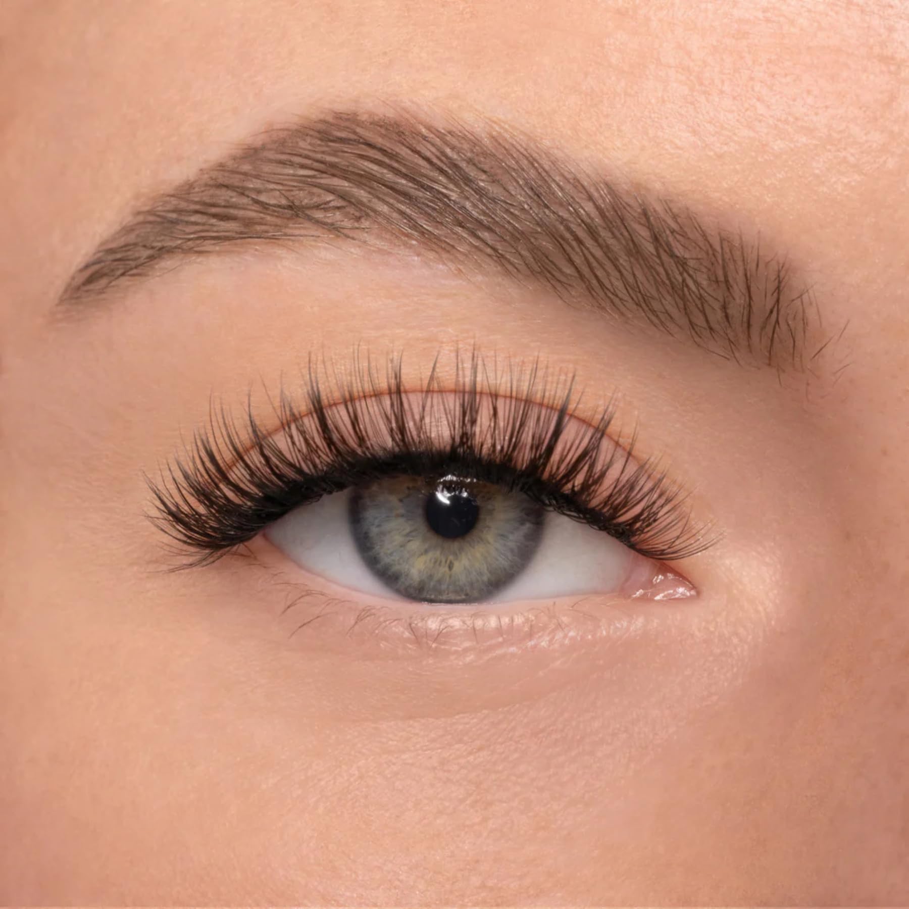 AYLASHES - DIY Wimpernextensions Maxi Box LASH BABY | 6 Paar Wimpern | bis zu 7 Tage Halt | Wimpern DIY Set für zu Hause | künstliche Wimpern | Klebewimpern | Cat eye lashes | lash extension set