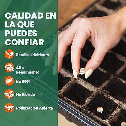 Vista 5 de Survival Gear, 15.000 semillas orgánicas Heirloom sin OMG, semillas para plantar verduras y frutas Comida de supervivencia para tu kit