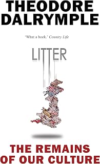 Litter: The Remains of Our Culture