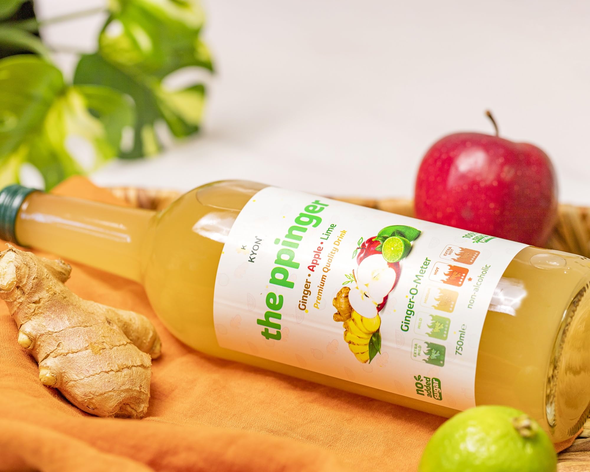 Kyon The Ppinger Drink - Succo di zenzero con mela, lime e fiori di sambuco, 750 ml, bevanda rinfrescante e analcolica allo zenzero, disponibile in confezioni da 12