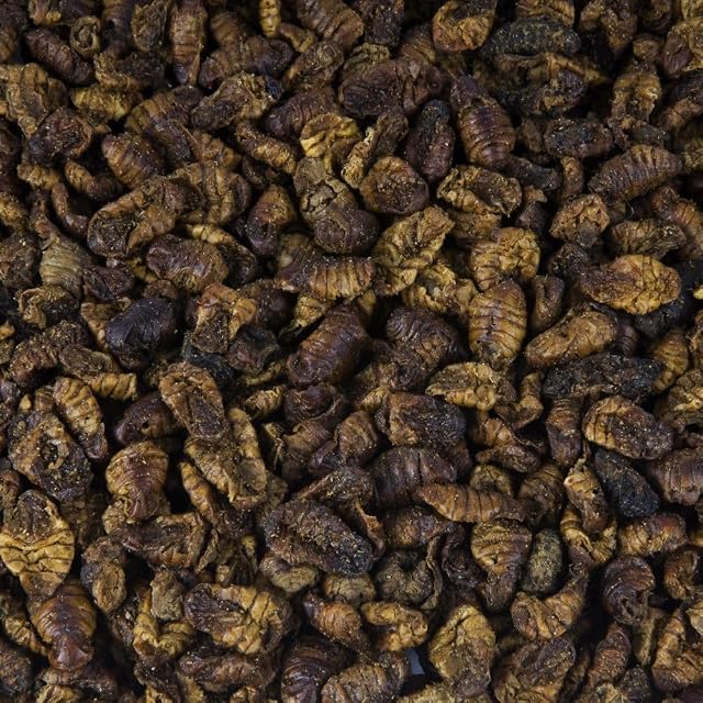 Foto 2 de 2 de HAPPYKOI® Muñecas de gusanos de seda secos, gusanos de seda, 1 kg
