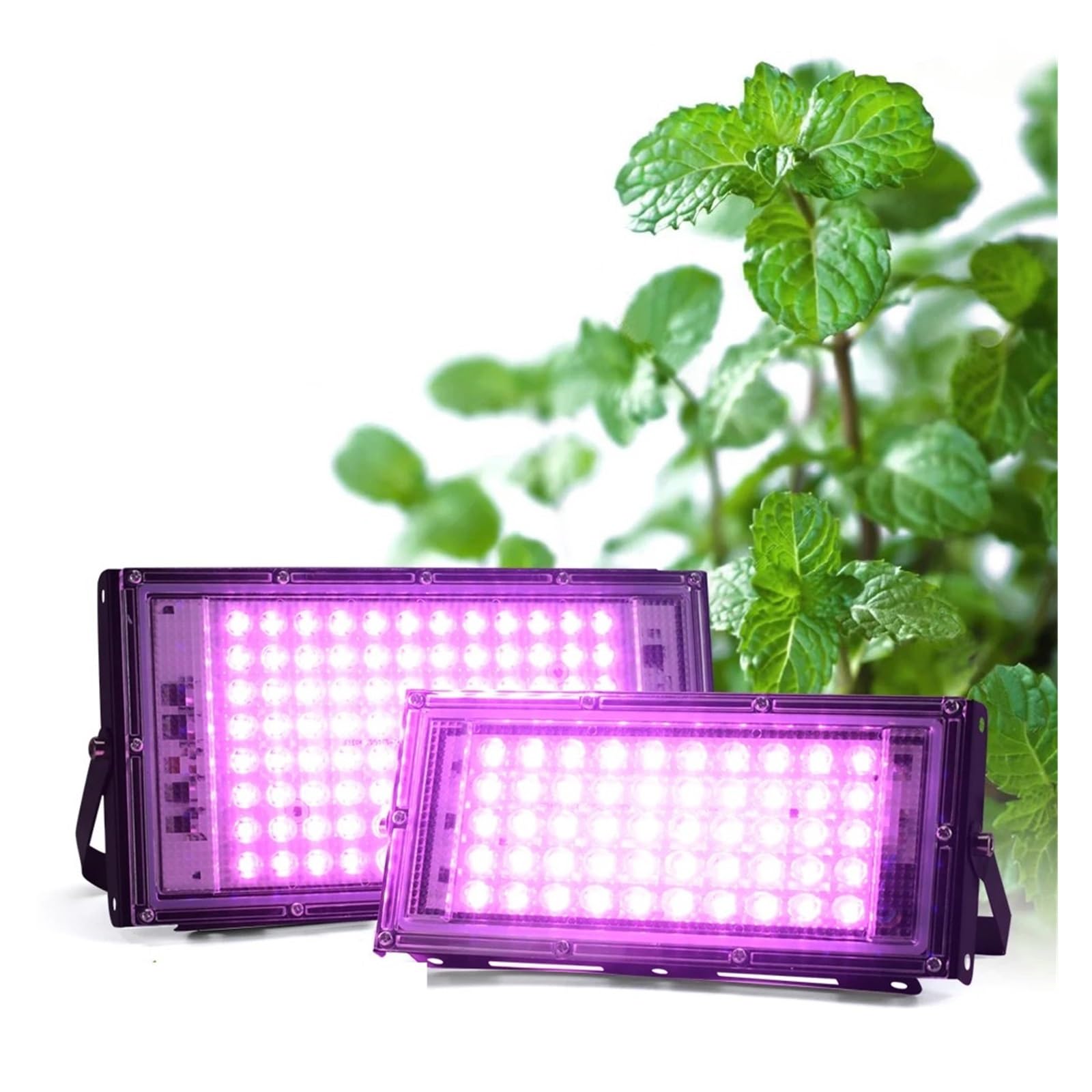 Lámpara de Cultivo, Luz LED de Cultivo 50W 100W 150W AC Phyto lámpara de Espectro Completo Reflector LED Plantas de Interior iluminación de Crecimiento de Invernadero hidropónico(100W)