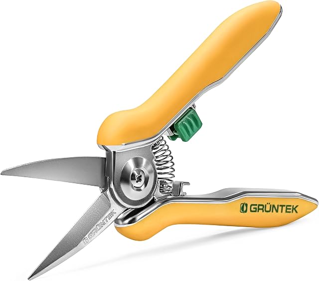 Colibri Pruner Flower Secateurs 170 mm Pruning Shears Garden Plant Scissors with Soft-Touch Handle, Trimmer Shears Bypass, Stainless Steel
