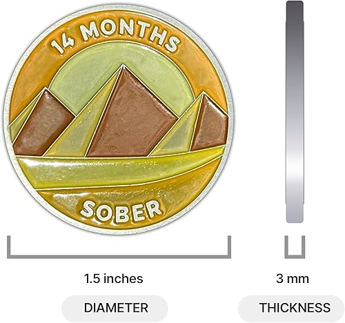 Miniatura 170 de The Achieve Mint Ficha sobria de 13 meses Chip sobrio de trece meses Regalo no AA, medallones no religiosos para hombres y mujeres que celebran