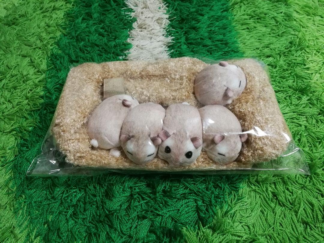 きーちゃんママ⭐︎太極石 龍亀（ロングイ）飛天➕ルチルパーム 龍亀【ロングイ】（水晶） 水晶龍亀(ロングイ)