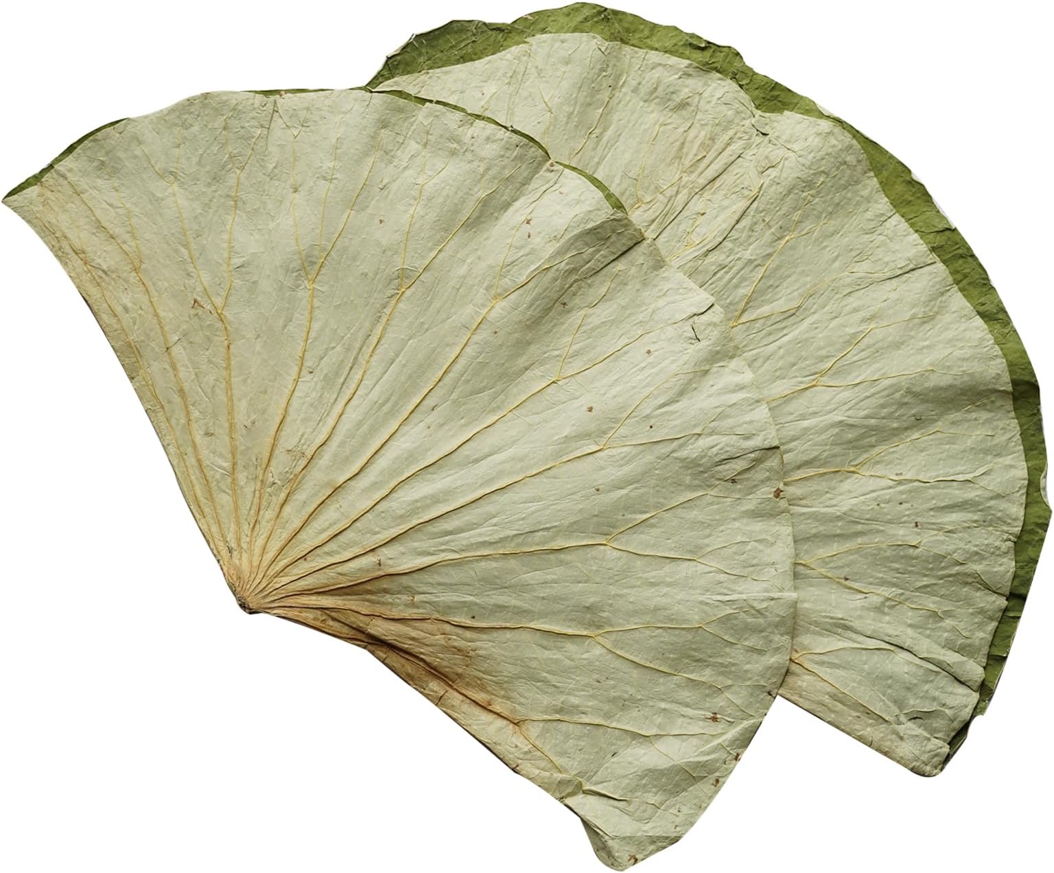 Rainlily Wen Dried Lotus Leaves Sushi Plate Decoration Whole Sheet 30 Pcs Food Wrapping Party Decoration Cooking Radius For 11'' Food Wrapping Party making Lo Mai Gai
