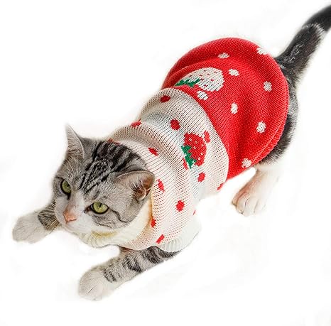 sweaters for cats amazon
