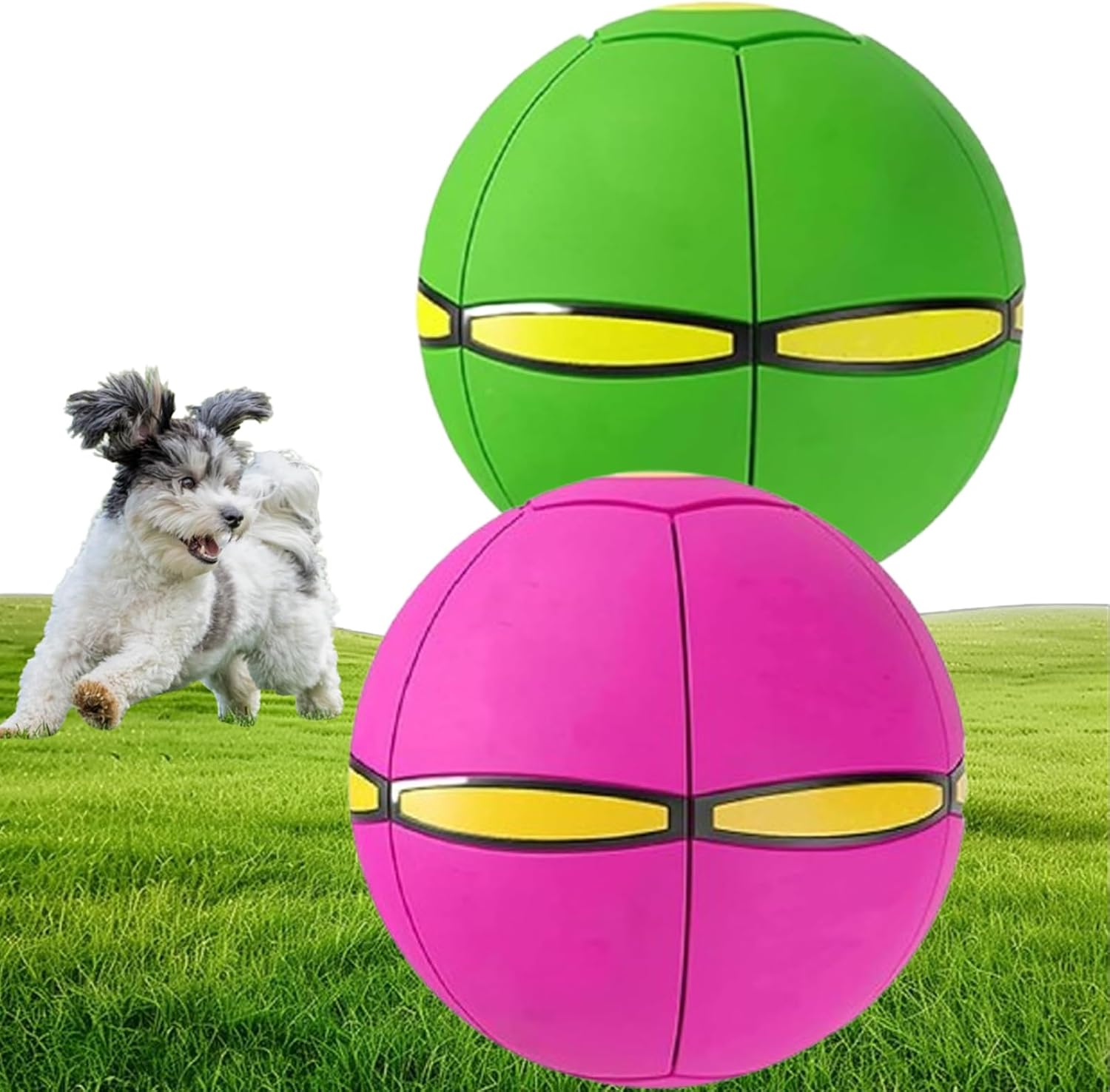 Sherum Petootsy Doggy Delight Disc, Glosrity Petootsy