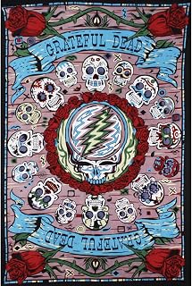 3D Grateful Dead Mini Tapestry Mexicali Skull Wall Art 30x45 Inches