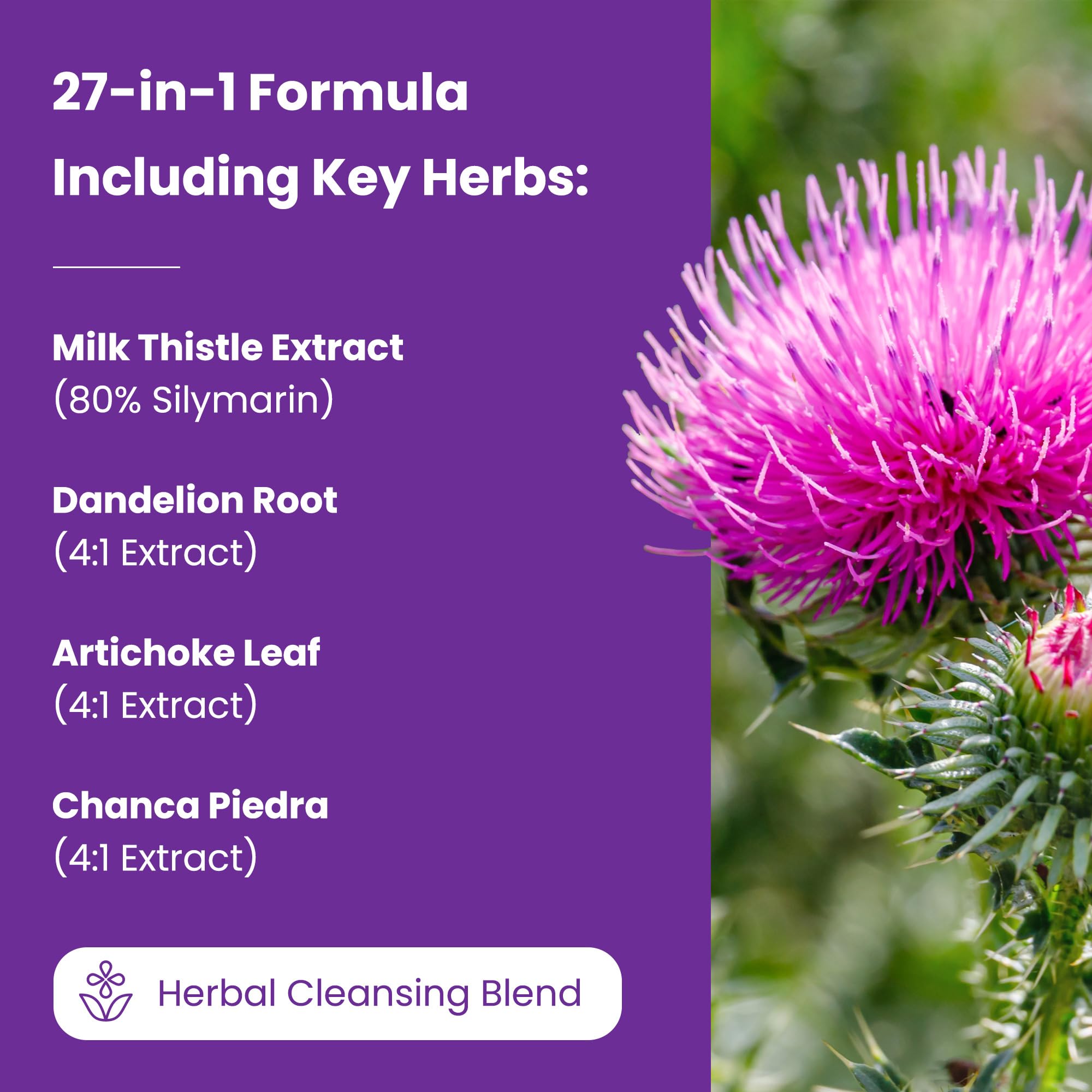 Liver Support Supplement with Milk Thistle Extract (80% Silymarin), Dandelion, Artichoke, Choline, Turmeric & Beet Root – 27-in-1 Liver Health Formula, 60 Vegan Capsules — Amazon image 7