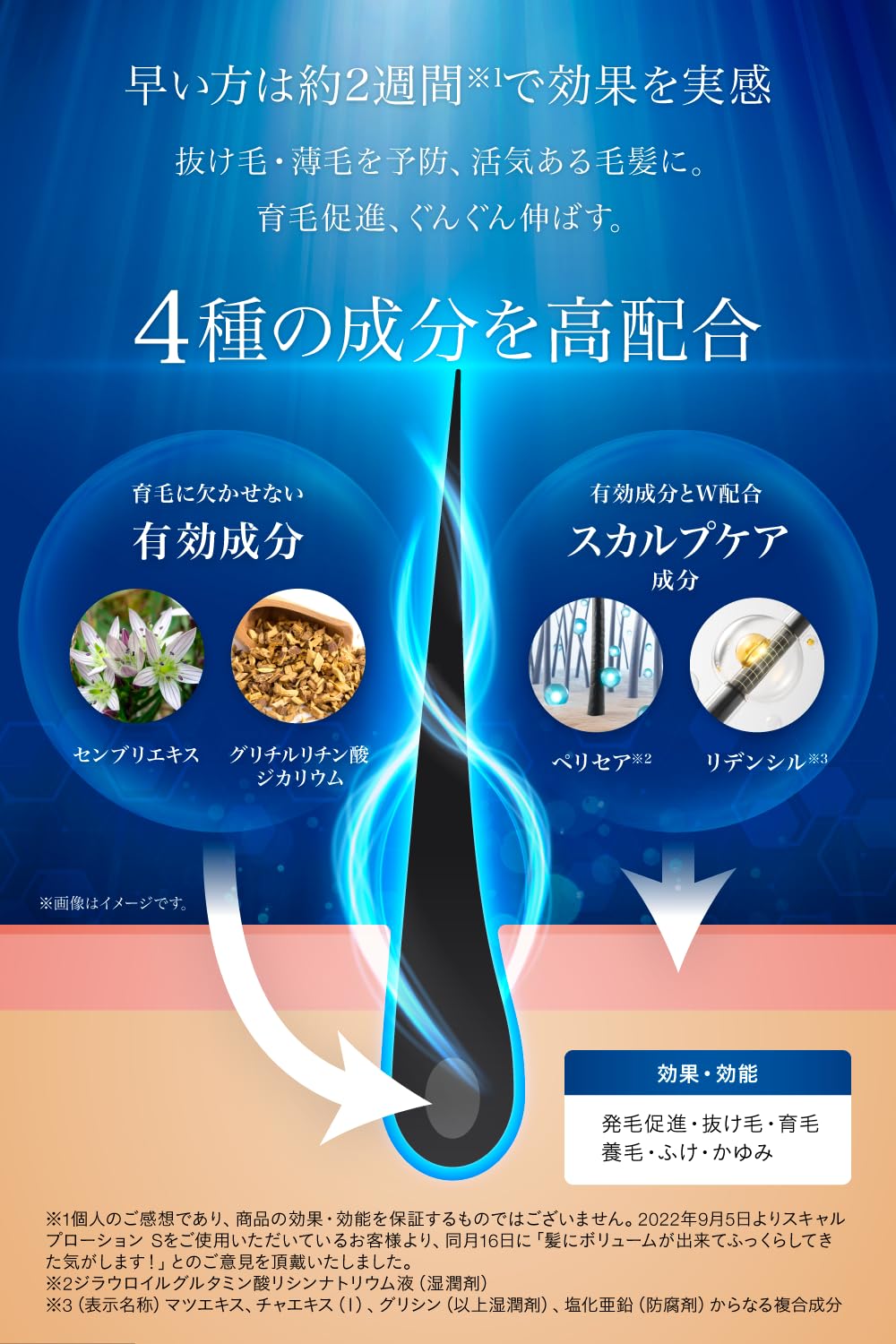 Amazon | BimoRa(ビモラ) 育毛剤 育毛トニック スカルプ 頭皮