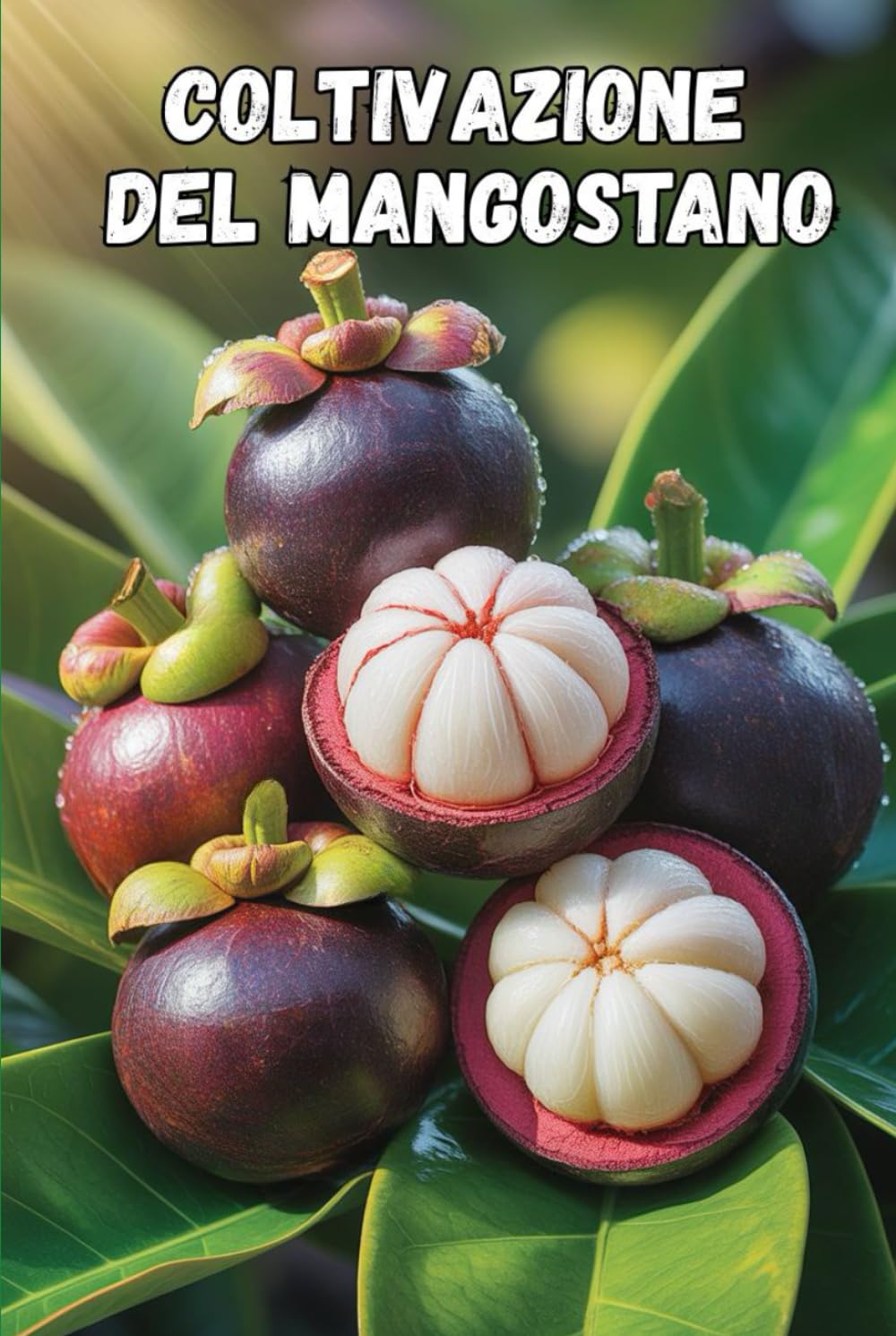 Coltivazione del mangostano: I segreti per una crescita di successo del mangostano e per ottenere il massimo rendimento