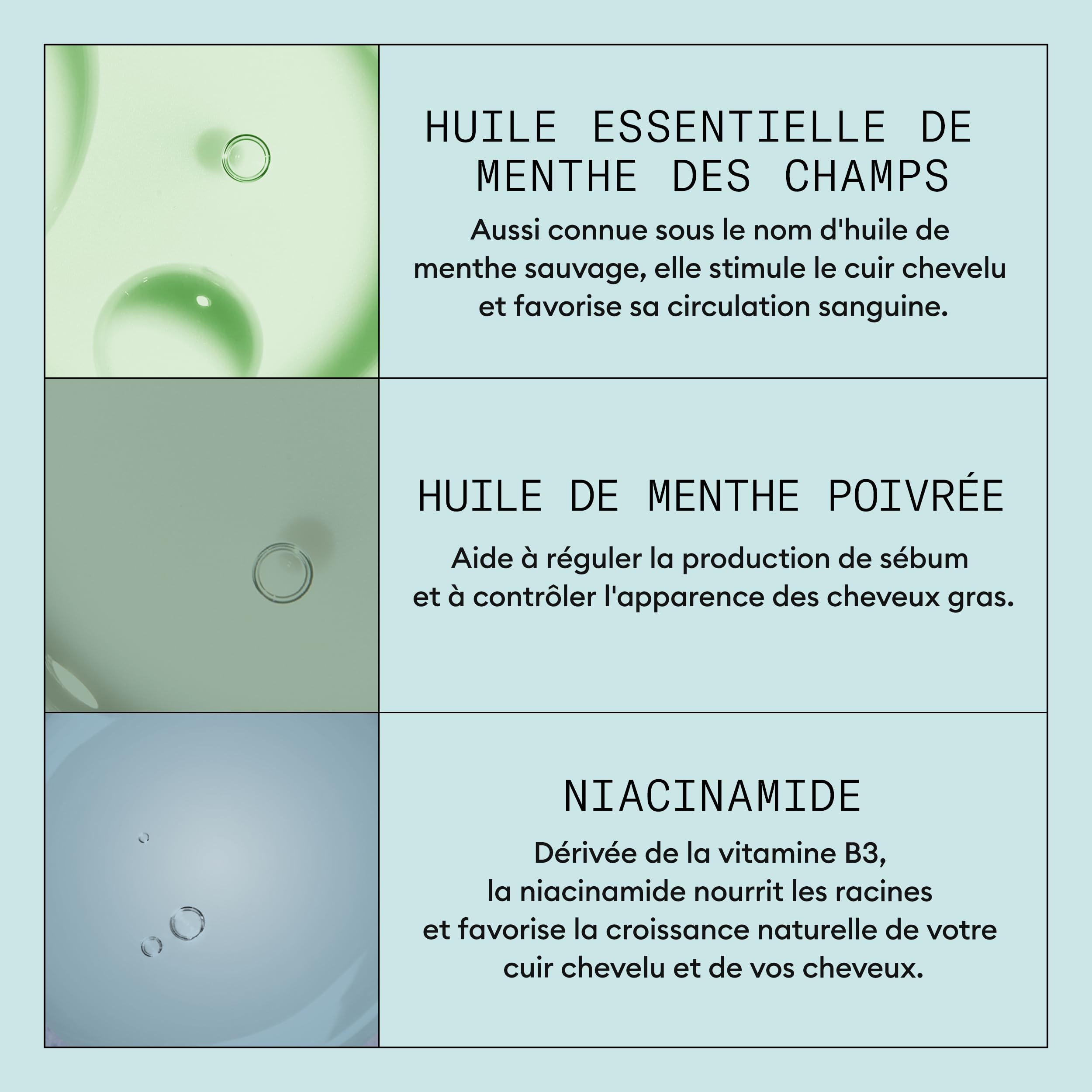 NIOXIN Scalp Recovery - Antipelliculaire et Anti-Démangeaisons - Kit/Shampoing/Après-Shampoing/Sérum apaisant/Exfoliant