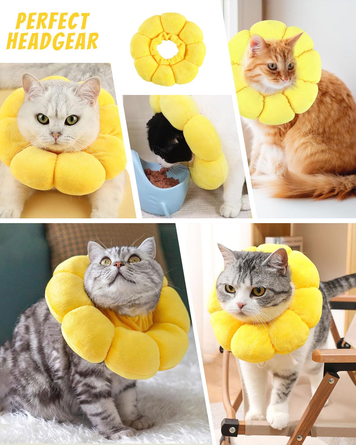 IOSPKKIO Collare regolabile per gatti e cani di piccola taglia dopo l'intervento chirurgico, morbido girasole per il recupero, taglia M