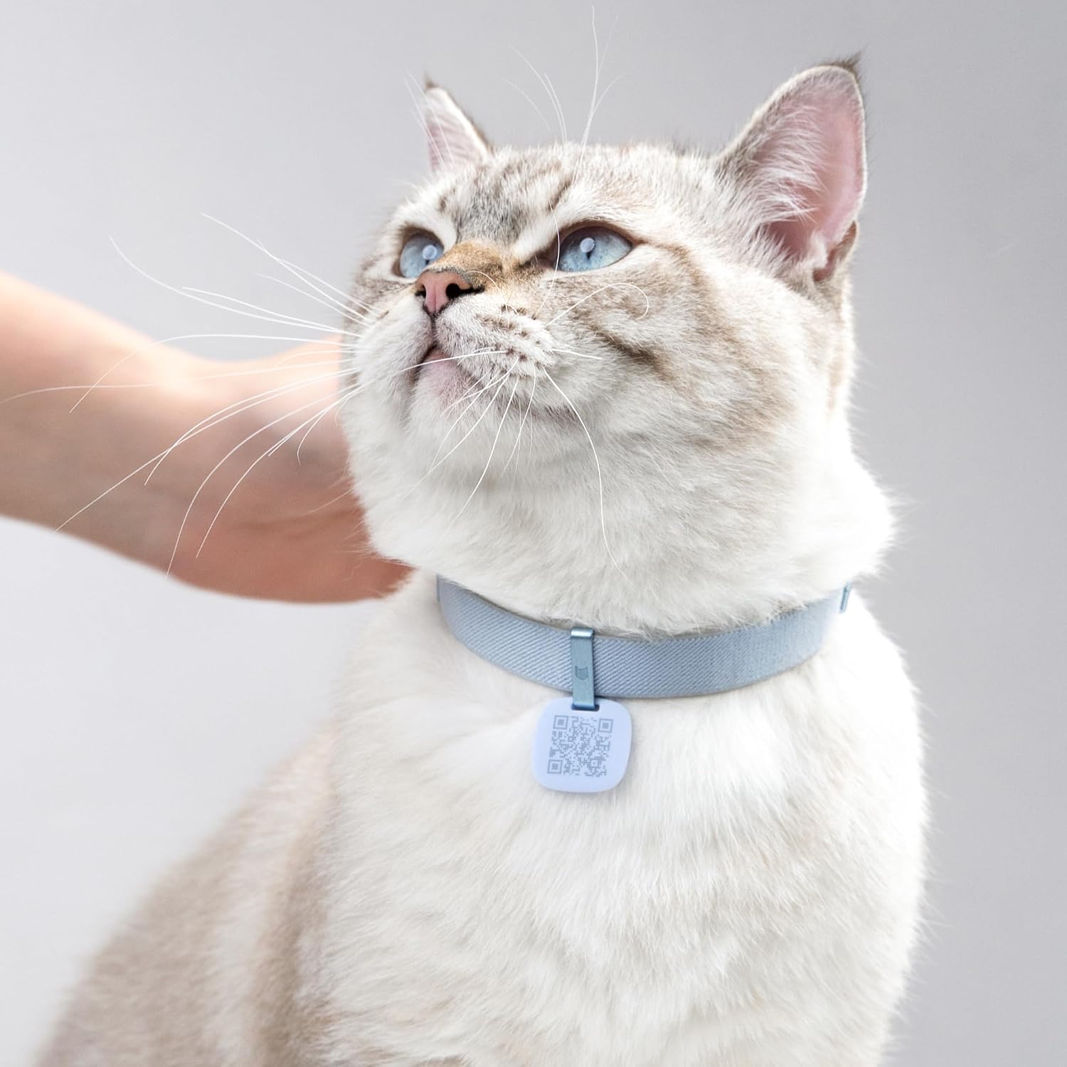 Cat Collar with QR Code Name Tag, 6-12" Adjustable Non Breakaway QR Code Cat Collar Elastic Release Personalized Online Pet Profile Scan Contact Silicone QR ID Tag for Cats (Beige, M)