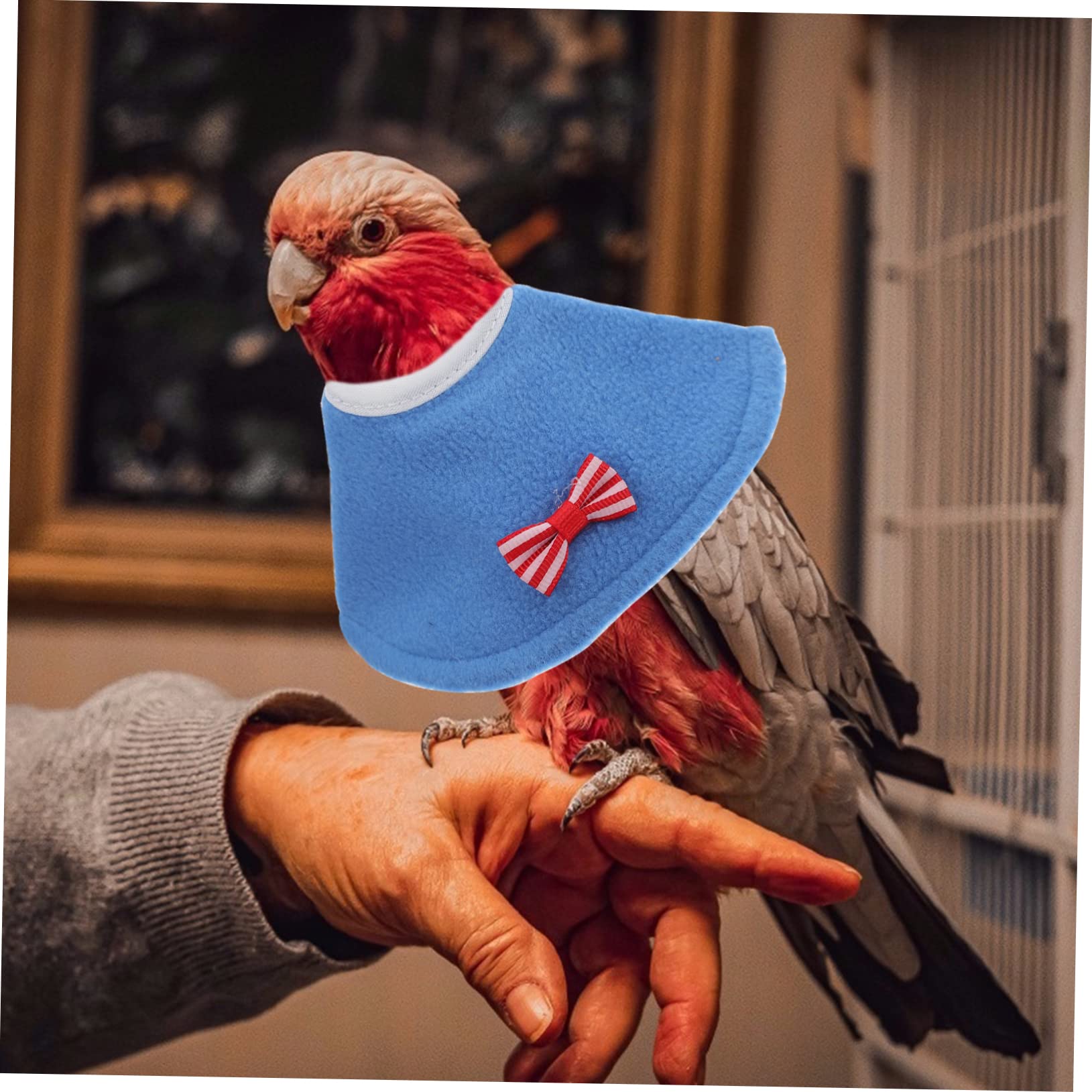 Collar Isabelino Antimordeduras Para Loros - Collar De Cono Protector Transpirable Para Cacatúas, Periquitos Y Aves Pequeñas