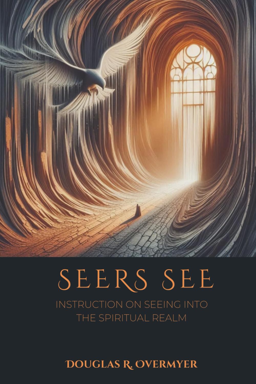 Seers See: Instruction on Seeing into the Spiritual Realm