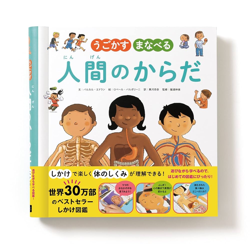ヴィンテージ飛び出す絵本　人間の体　The Human Body ヴィンテージ飛び出す絵本 人間の体 The Human Body