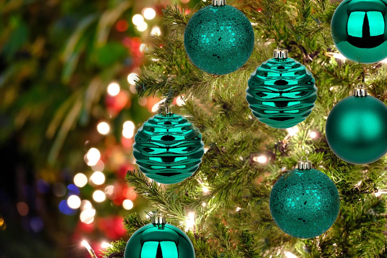 View 5