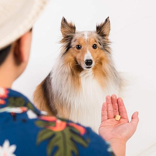 Miniatura 4 de LIFE ESSENTIALS BY CAT-MAN-DOO All Natural - Golosinas de salmón salvaje liofilizado para gatos y perros, aperitivo sin granos de un solo