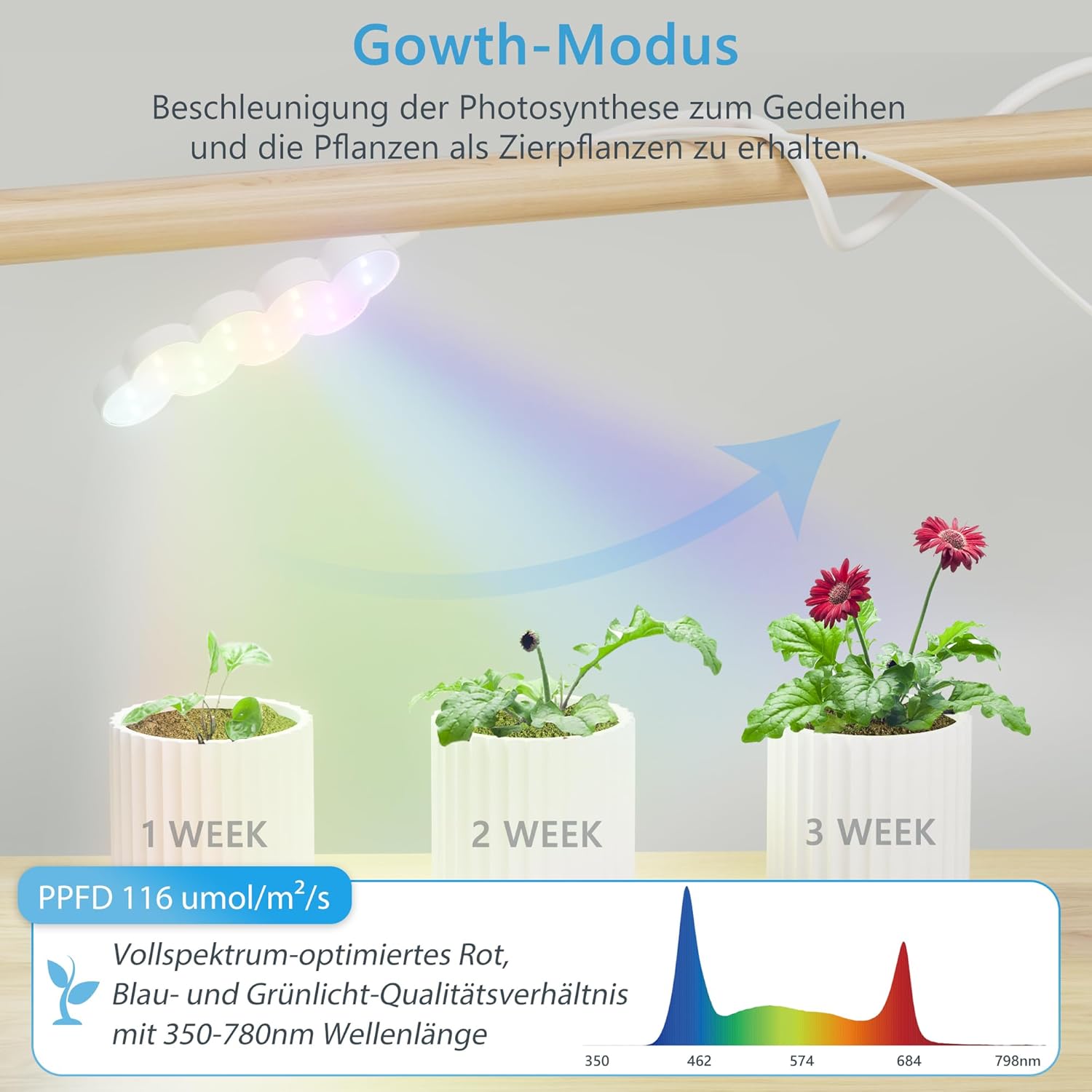 Diagram illustrating the Diivoo LED Grow Light's Growth Mode with PPFD 116 umol/m²/s and optimized red, blue, and green spectrum.