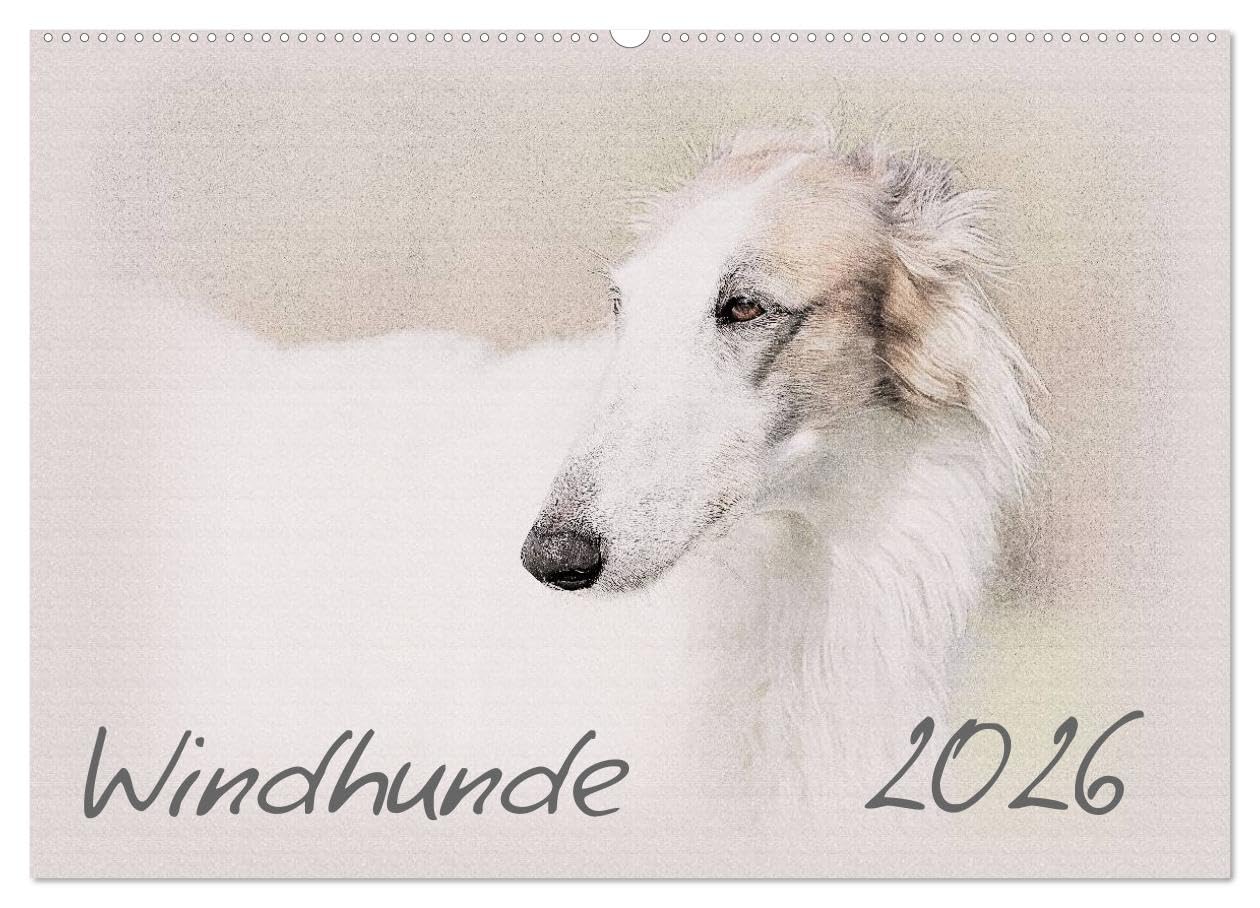 Windhunde 2026 (Wandkalender 2026 DIN A2 quer), CALVENDO Monatskalender: Windhunde - Wunderschön gestalteter Kalender. Jedes Monatsmotiv gleicht einem kleinen Kunstwerk. (CALVENDO Tiere)