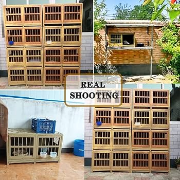 木製多層構造巣箱 大きめ Amazon.co.jp: RemixOri ミツバチ 巣箱 木製 5層 みつばちの巣箱