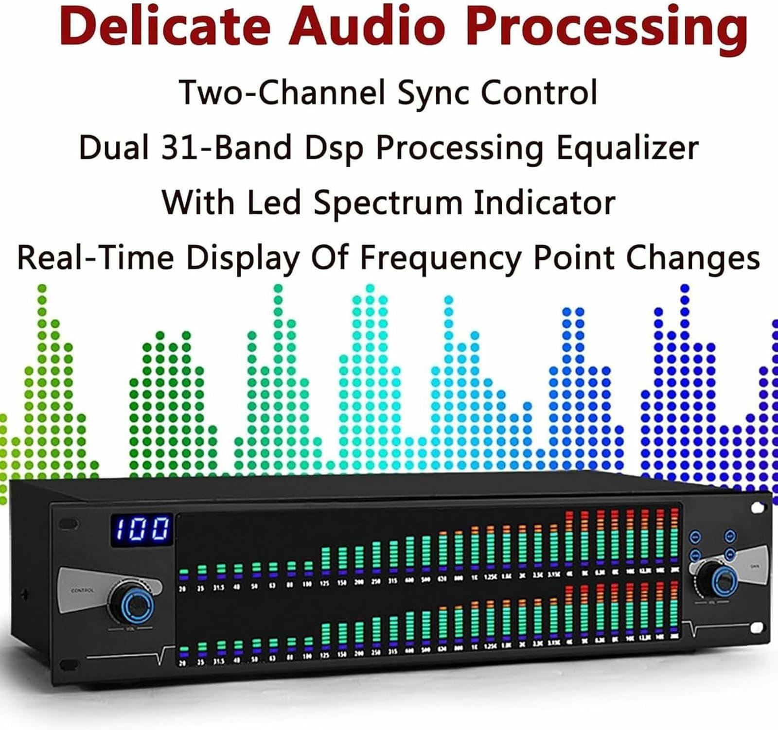 Portable 31 Bands EQ, Equalizzatore Grafico A 2 Canali Professionale, per Canto da Palcoscenico, Spettacoli di Band, Studi di Registrazione