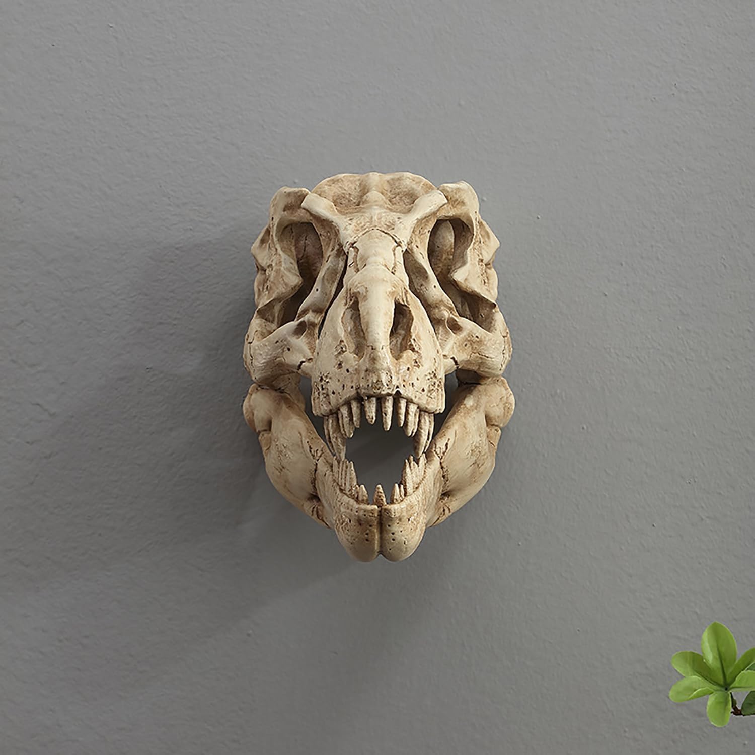 Museum-Quality T-Rex Dinosaur Skull Wall Mount - 3D Resin Replica Decor for Home, Office & Kids Room | Realistic Prehistoric Dinosaur Wall Art