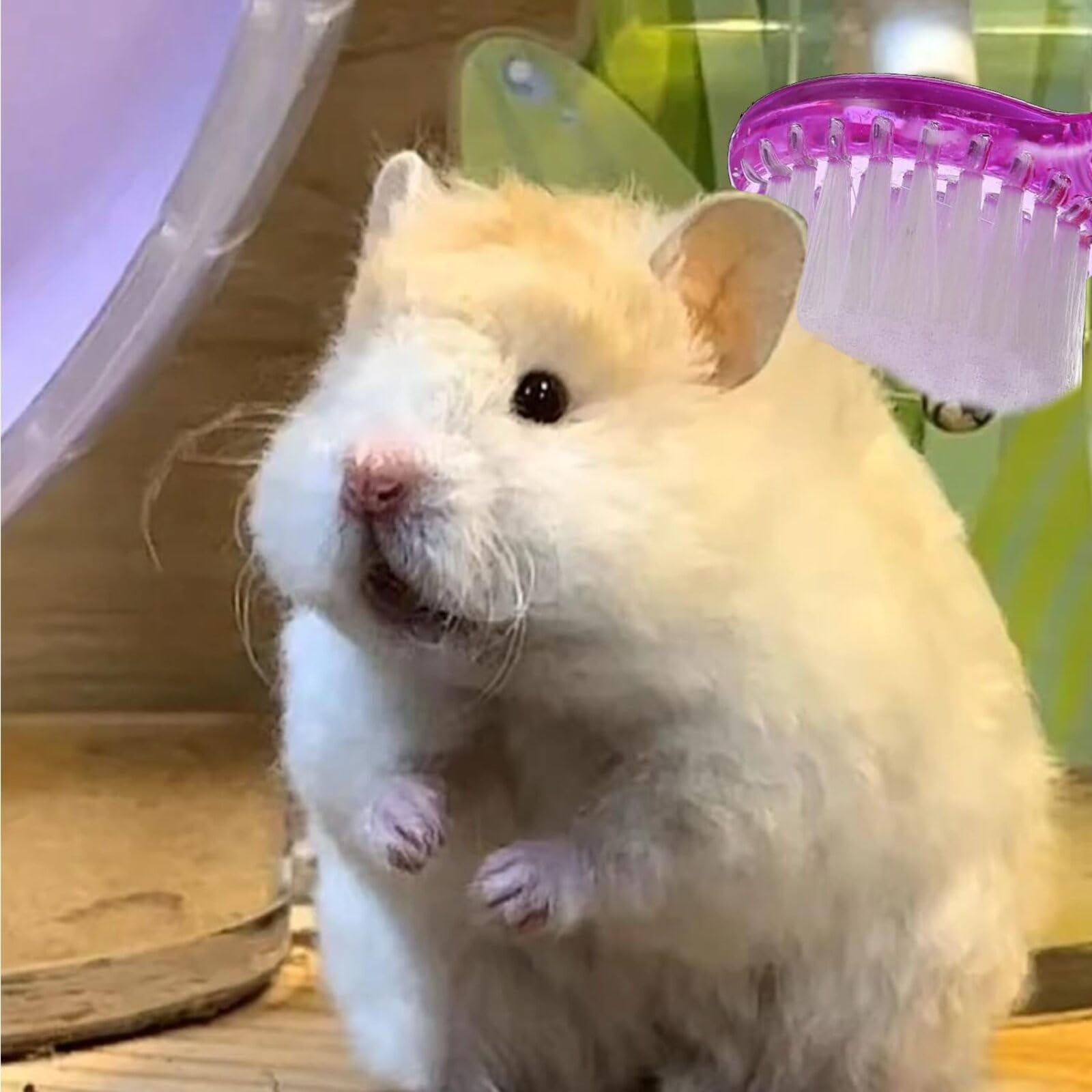 3 Pieces Pet Hair Comb Cleaning Pet Grooming Brushes Pet Bathing Brush Hamster Brushes Nail Cleaner for Guinea Pig Chinchilla Ferret - Image 4