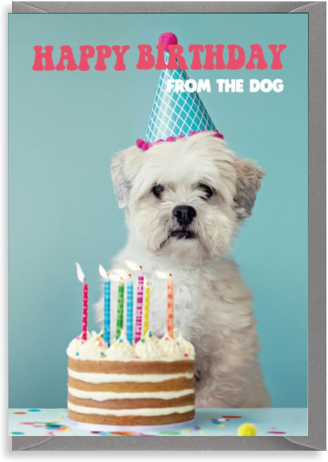 Wanky Candles Dog Birthday Card Happy Birthday from the Dog C17
