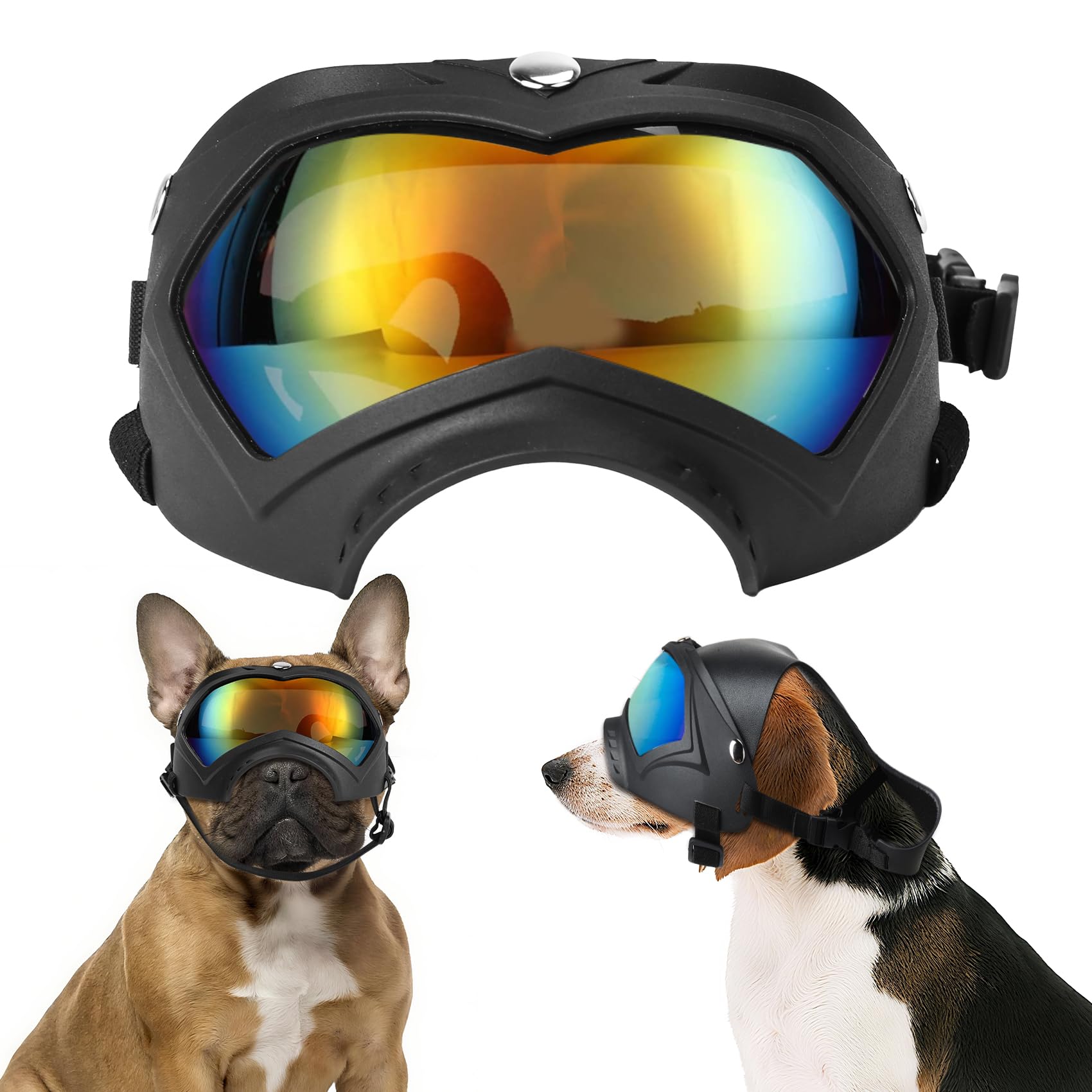 Lunettes de soleil pour chien de taille moyenne en randonnée et mer