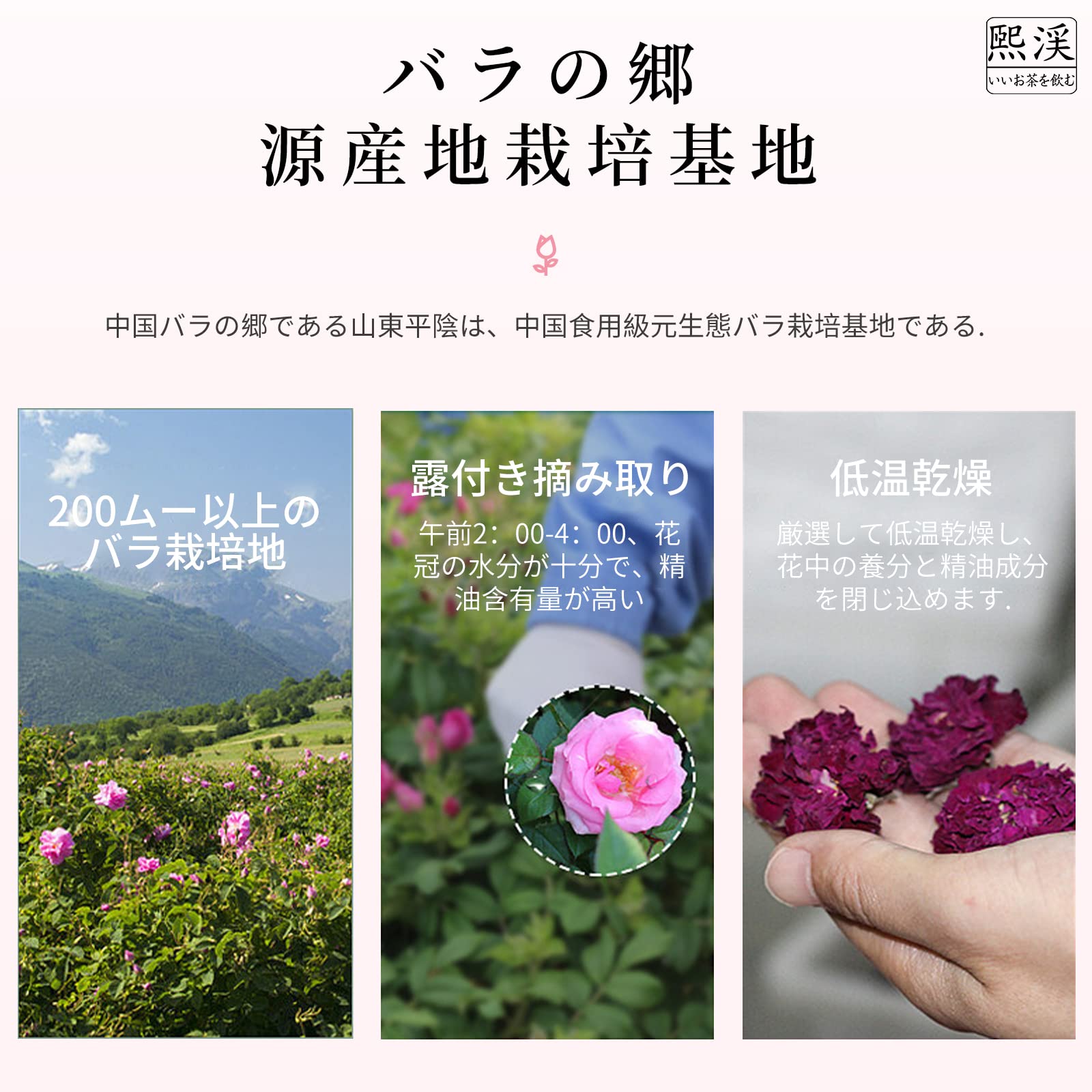 Amazon.co.jp: 煕渓 玫瑰花茶 バラ茶 花茶 60g(30g*2) 薔薇茶 玫瑰花