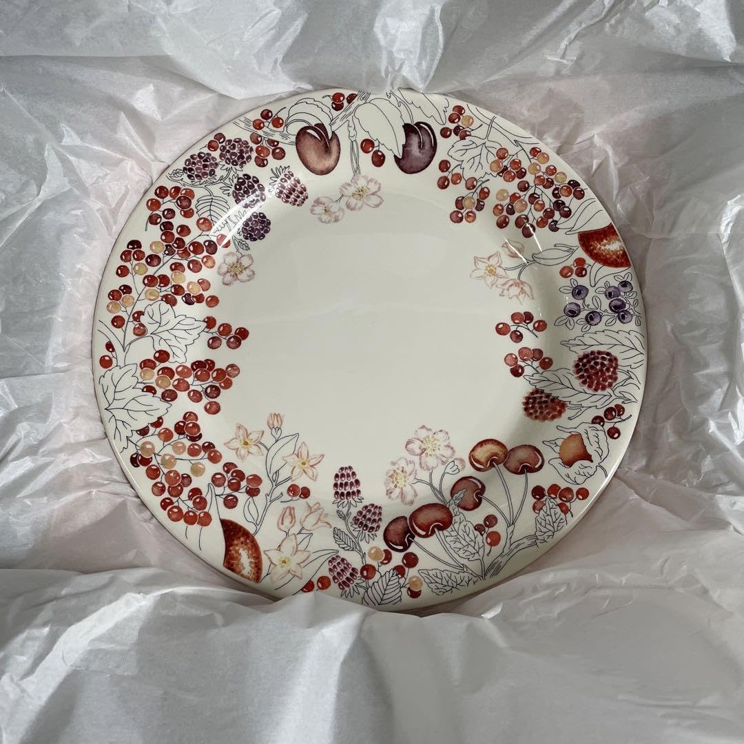 Amazon.co.jp: ジアンプレートセット 2枚セット : おもちゃ 