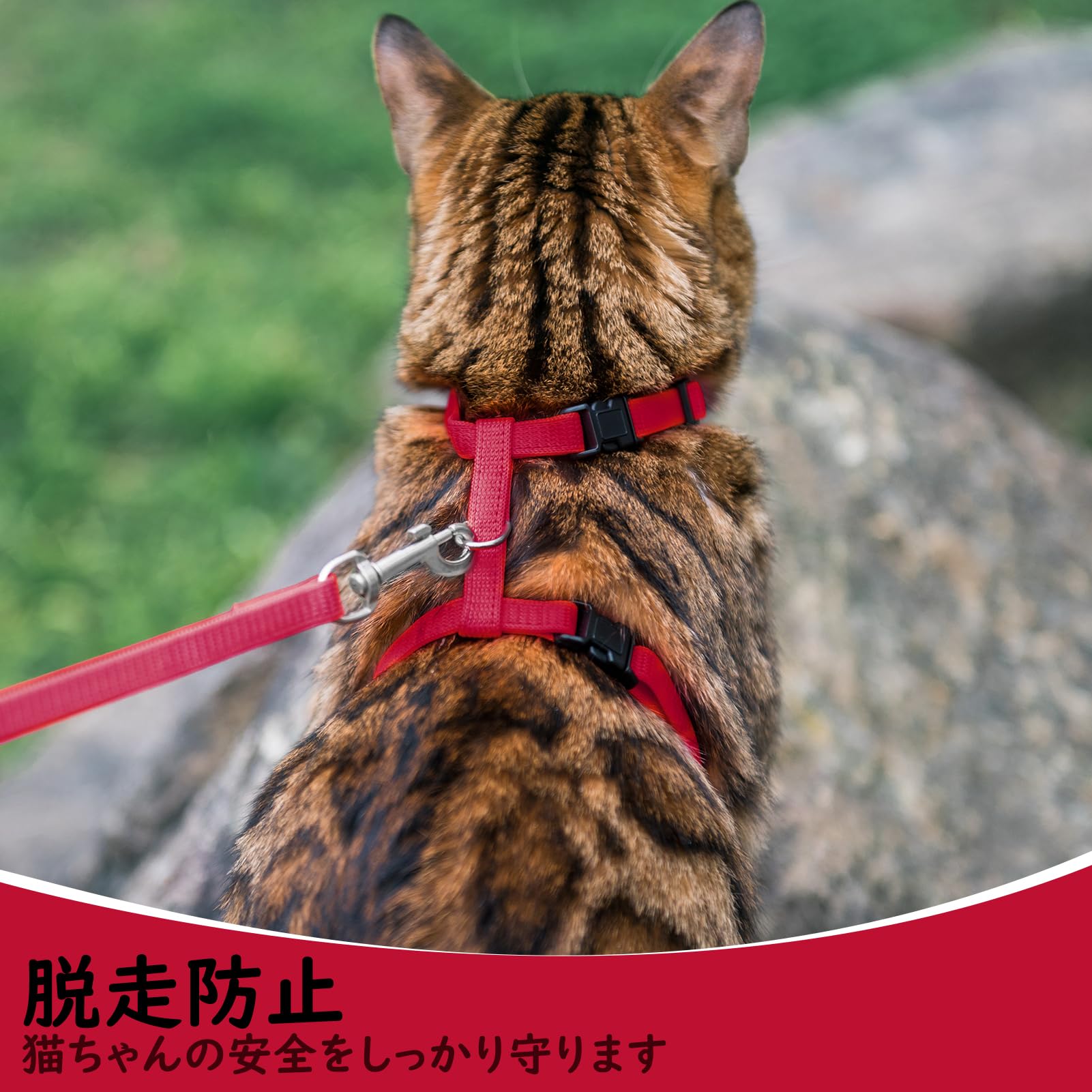 Amazon | PUPTECK 猫 ハーネス リードセット 猫用ハーネス 猫牽引 