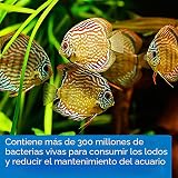 Ver la foto 3