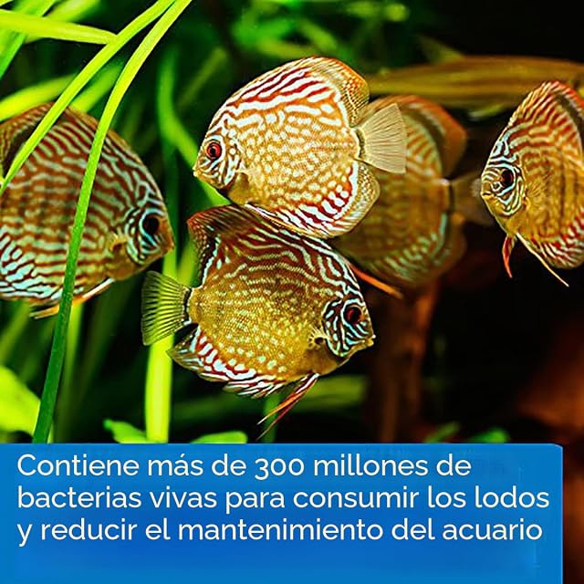 Foto 3 de 7 de API Stress Zyme Agua Dulce y Agua Salada Acuario solución de Limpieza