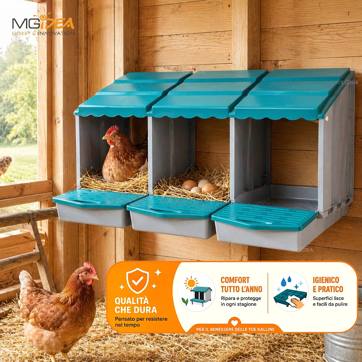 NIDO COVA UOVA GALLINE 3 POSTI OVAIOLE CHIOCCIA AUTOMATICA CASSETTO STRUTTURA RESISTENTE POLLAIO ALLEVAMENTO FATTORIA