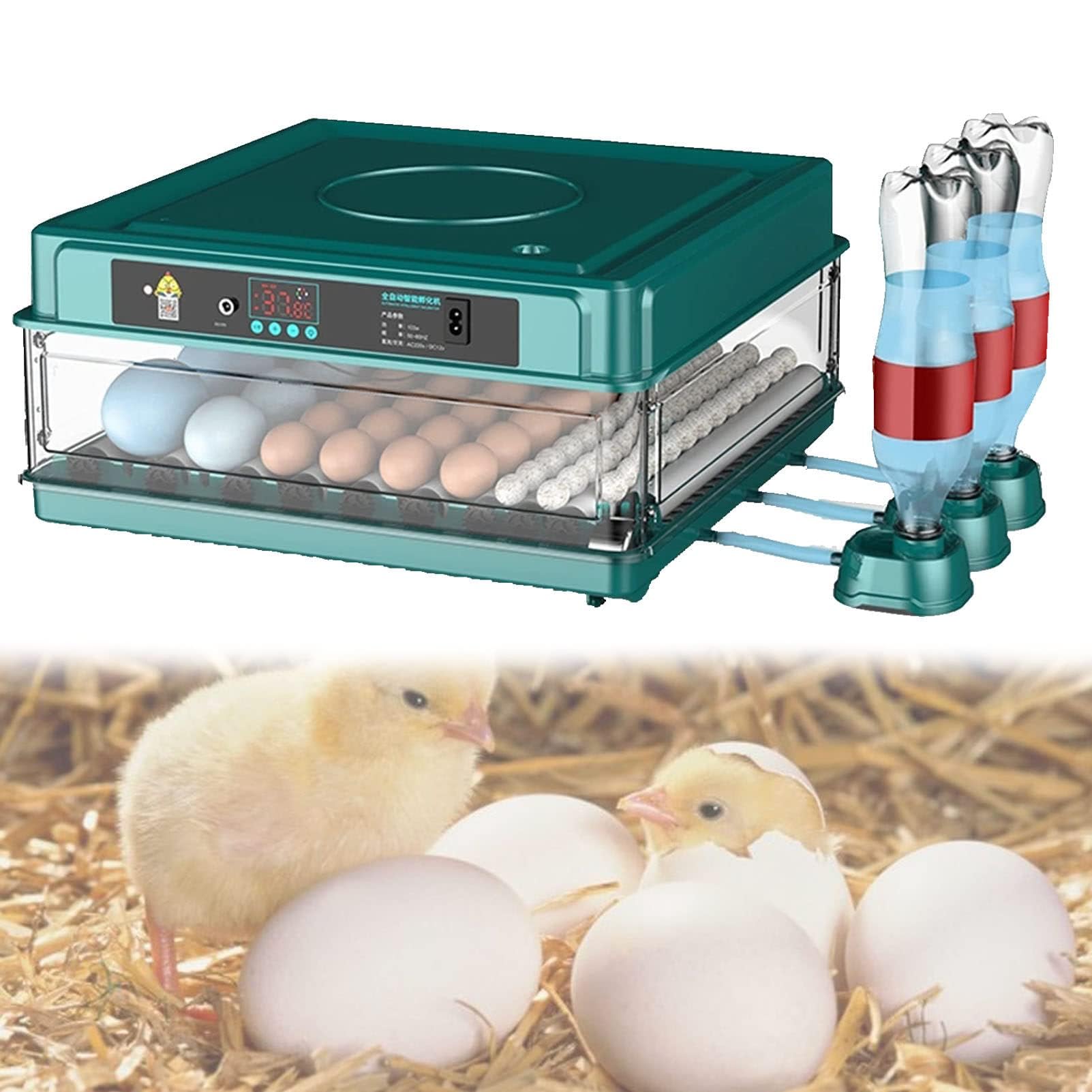Incubadora digital de huevos con giro automático y control de temperatura para incubar aves de corral