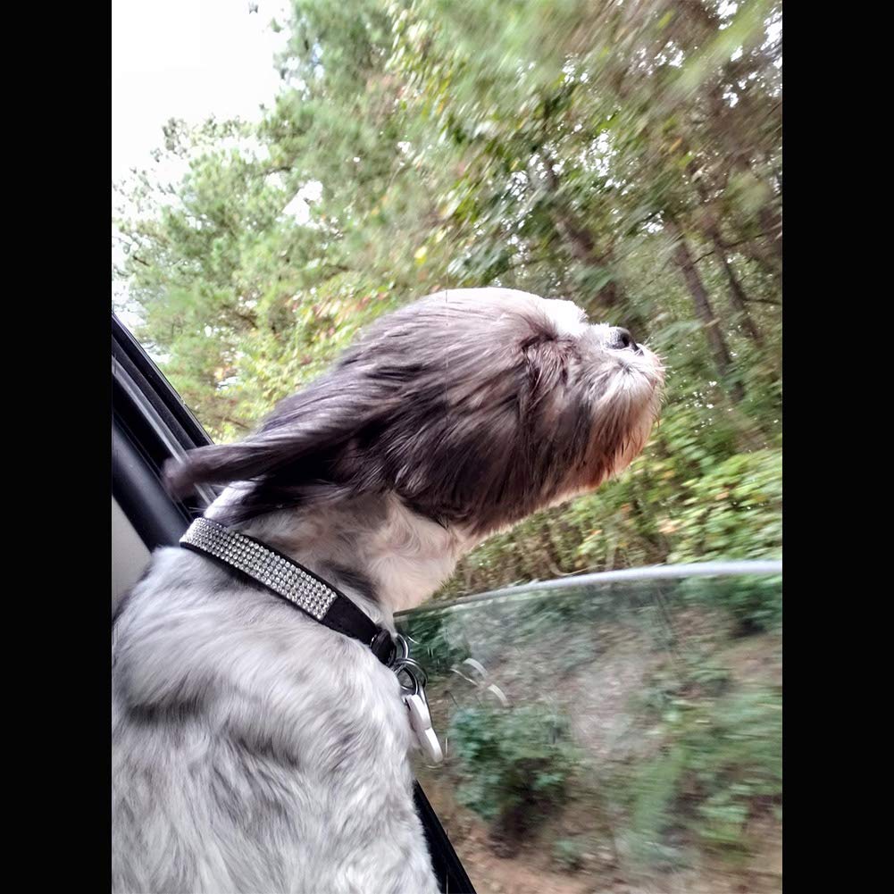View 7