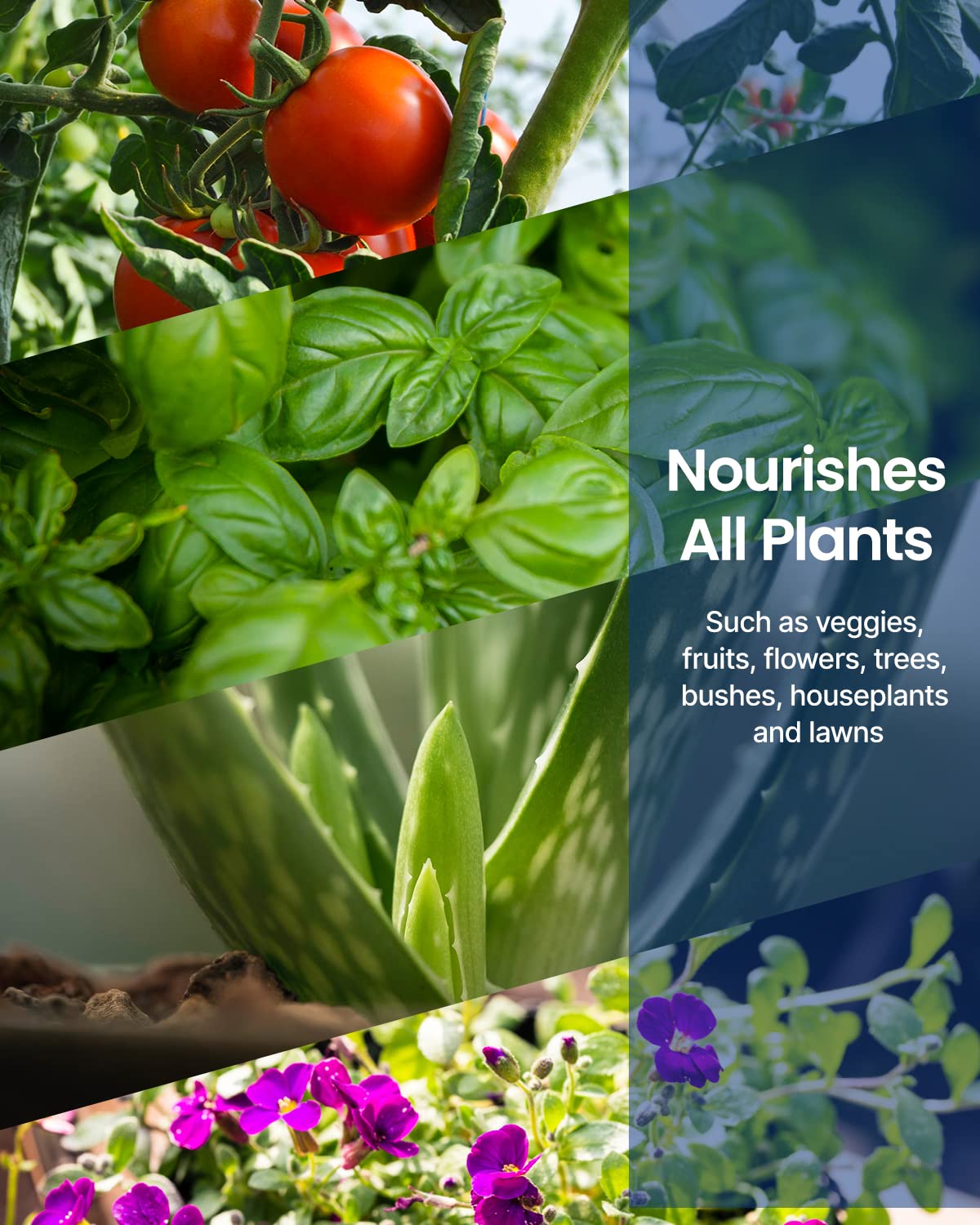 iDOO Plant Food 70 oz (2 Liter), All-Purpose Water Soluble A & B Nutrients, Liquid Concentrated Garden Fertilizer for Hydroponics System, Indoor Potted House Plants, Flowers, Vegetable : Patio, Lawn & Garden