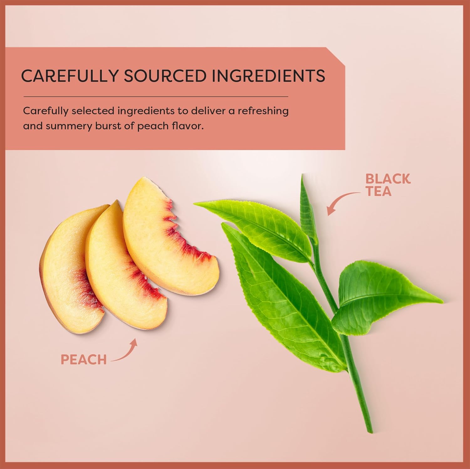 Wissotzky Sunny Peach Black Tea, (6 Pack - 120 Tea Bags) | Antioxidant Rich | Fruity Delight | Black Tea Bags