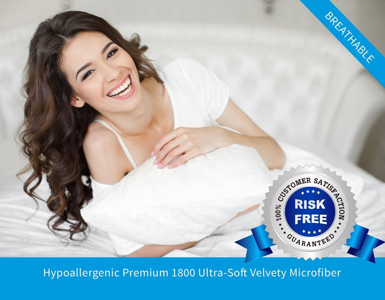 Ivy Union Twin Solid Comforter & Sham Set - Red