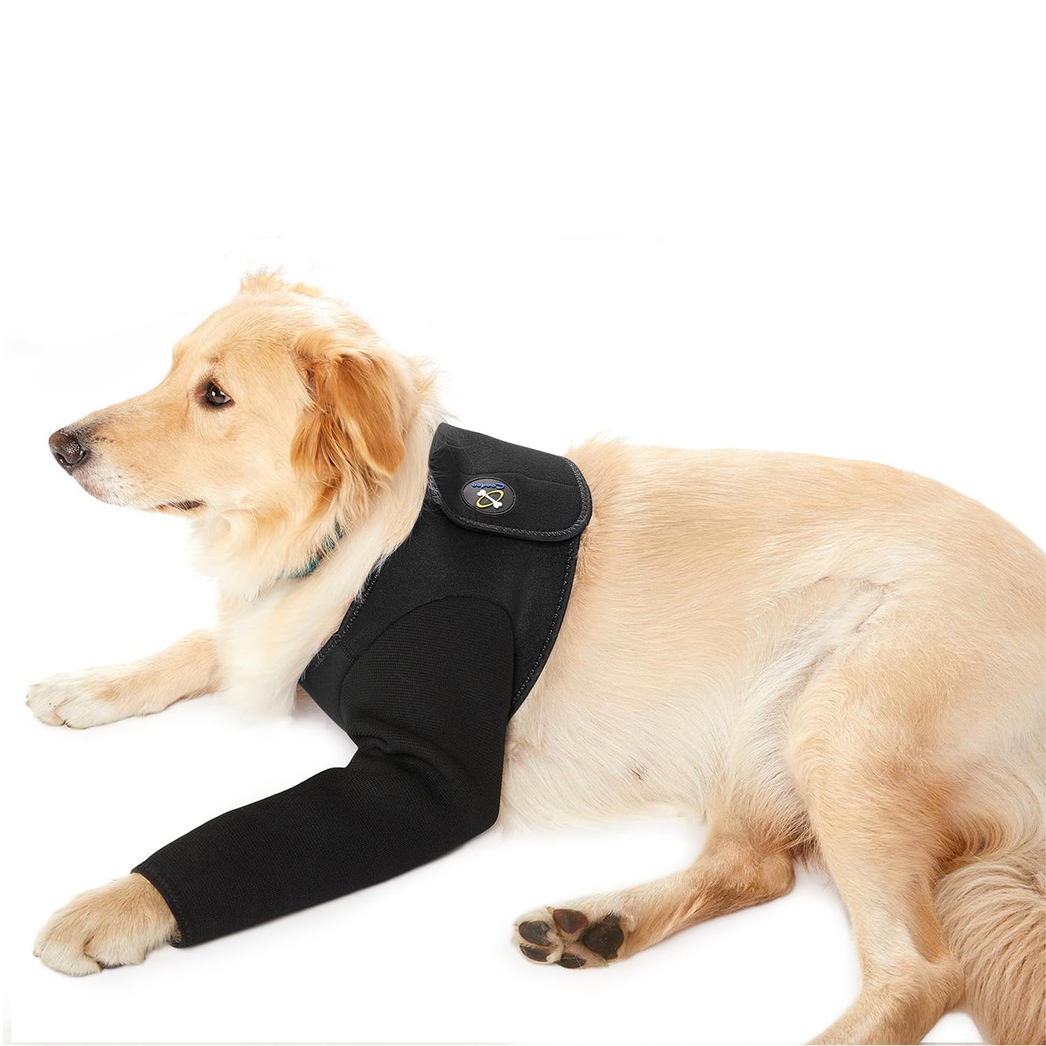 Coodeo Dog Recovery Suit, Cone Collar Alternative, Abrasion Resistant Dog Recovery Sleeve, Washable 2.5mm Thick and Waterproof, Pet Wounds Prevent Licking, Bite, Keep Dry (Black, S)