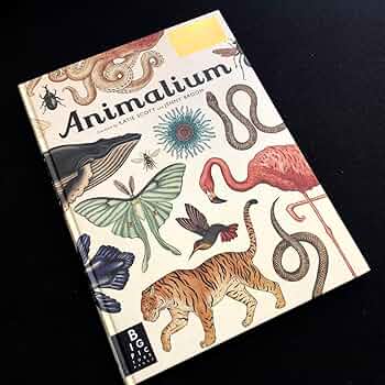 Amazon.co.jp: アニマリウム ようこそ、動物の博物館へ