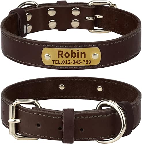 TagME Collier de Chien en Cuir Personnalisé,Médaille Gravée avec Nom