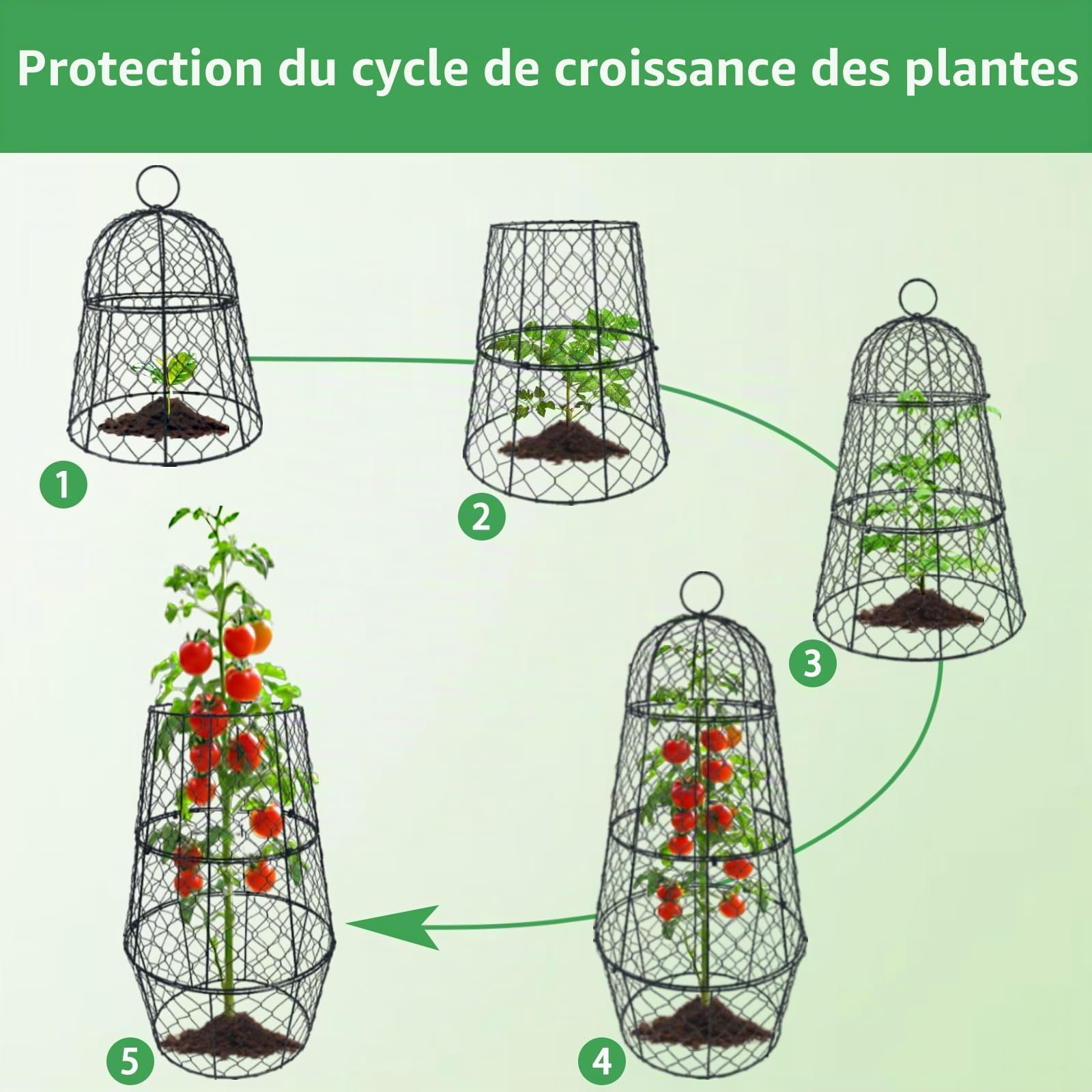 Lot de 6 housses de protection en fil de fer pour plantes, 45 cm x 29 cm, antirouille et robuste, avec piquets et étiquettes, cloches de jardin modulaires pour semis, fleurs, légumes, protéger des