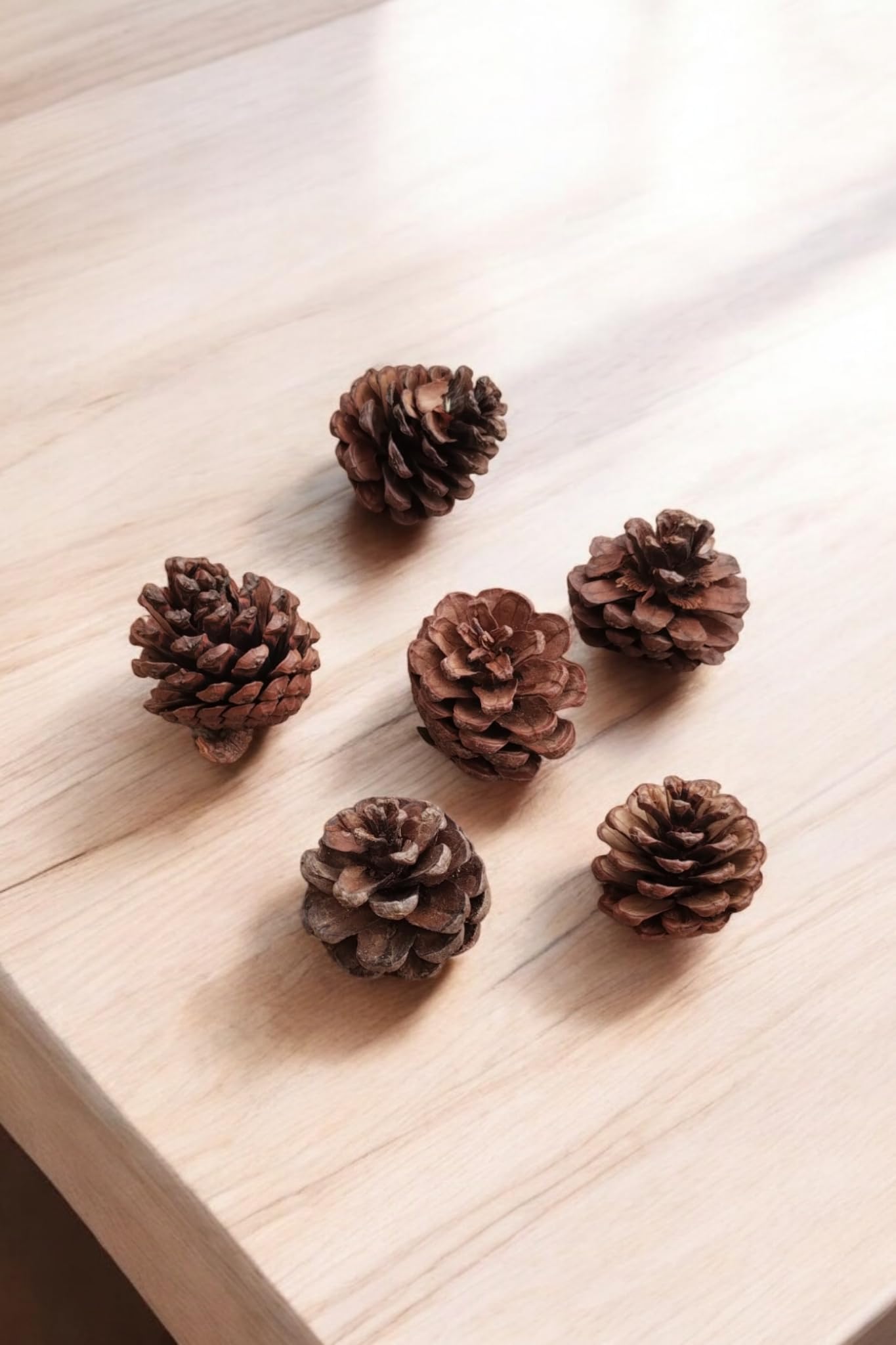 2inch Natural Dried Pine Cone , Dried Flower for Christmas Ornament Decoration | Real Pinecones for Festive Decor, Crafts, and Seasonal Decor for Gift Crafting Pack of 12 Piece-image-22